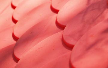 Georgeham plastic roof costs